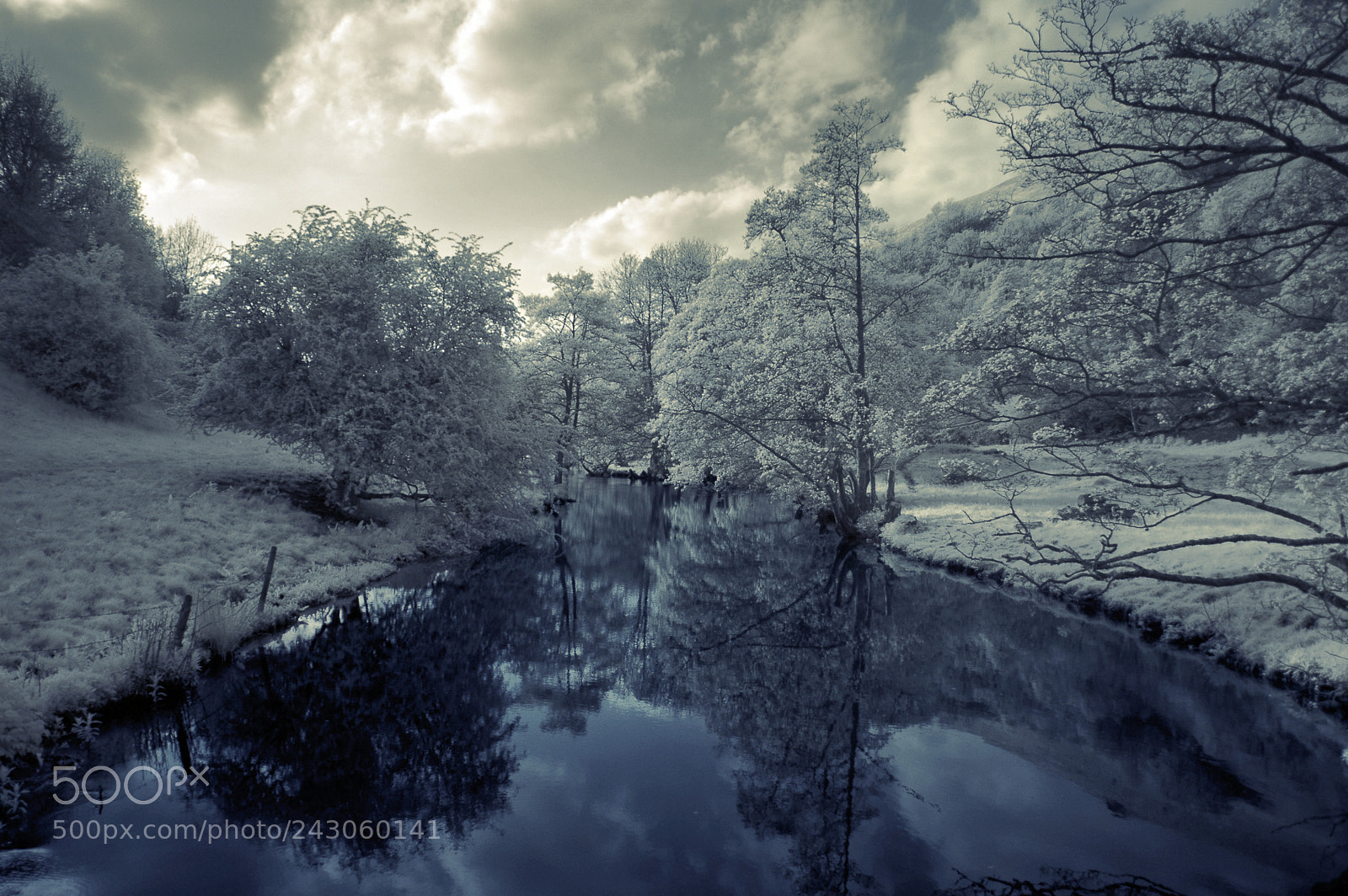 Nikon D70 sample photo. Blue reflections photography