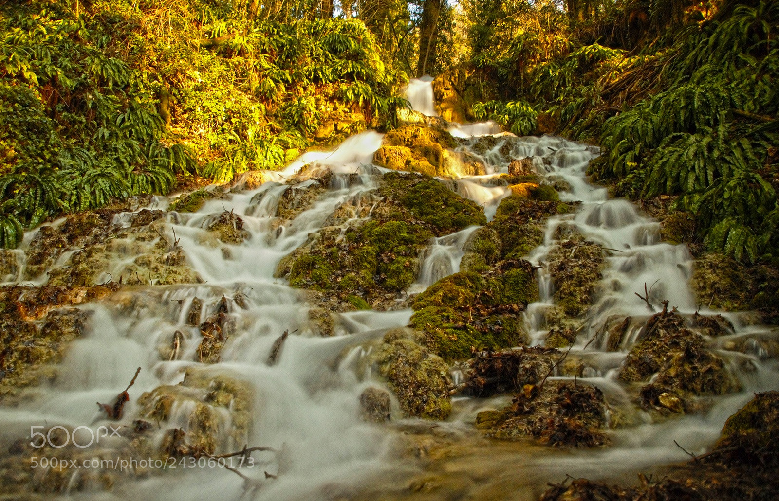 Nikon D3200 sample photo. Golden waterfall photography