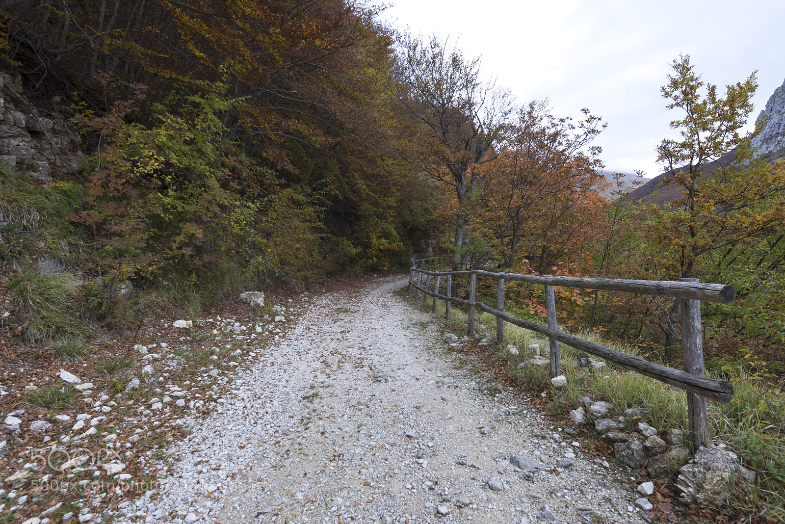 Nikon D600 sample photo. Re-connect with nature photography
