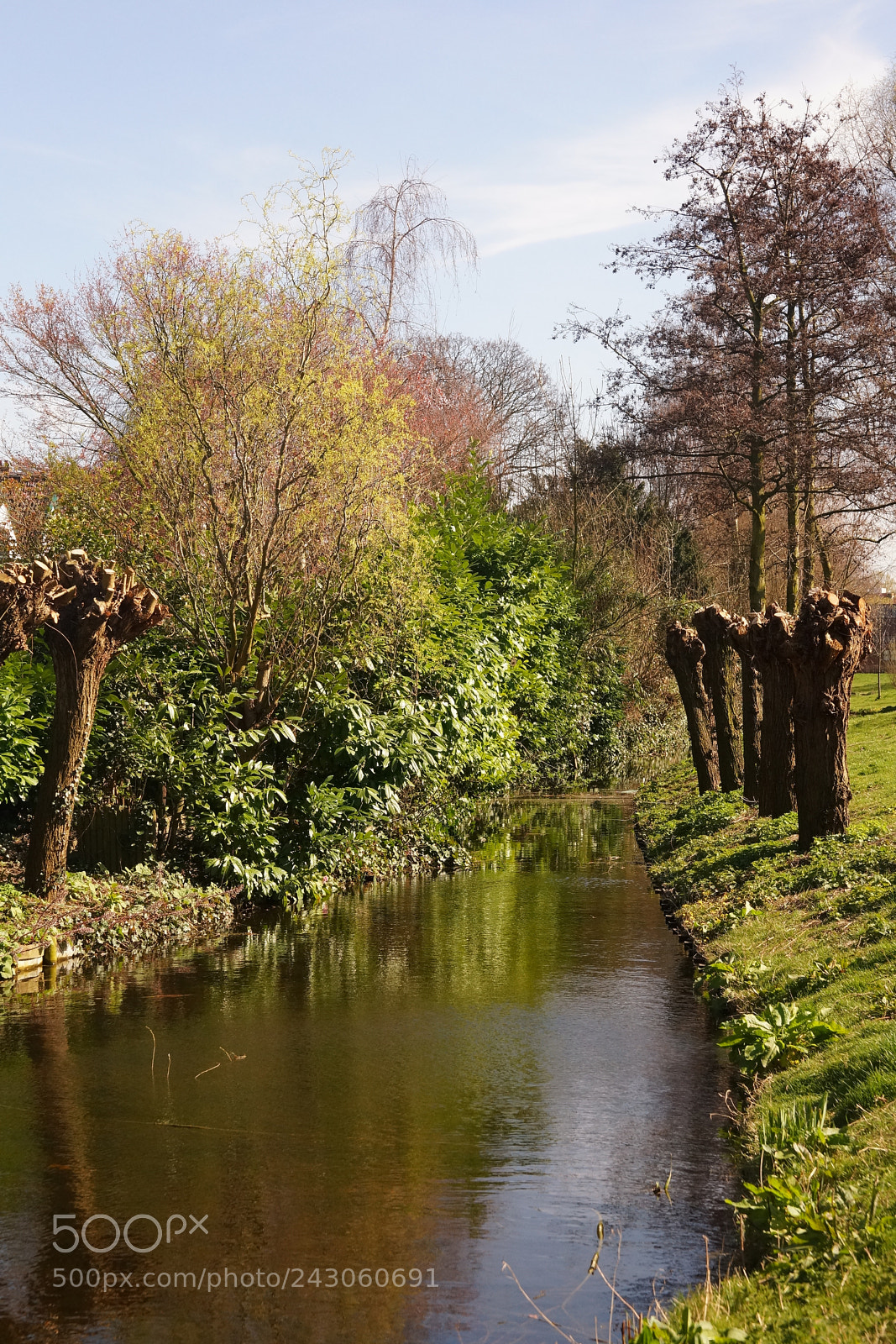 Sony SLT-A99V sample photo. Land van ris in photography