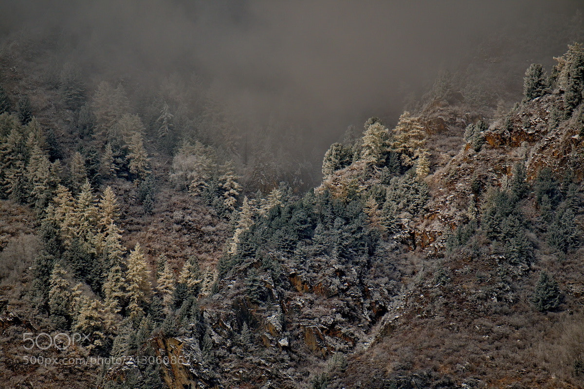 Fujifilm X-T1 sample photo. Russia. siberia, autumn in photography
