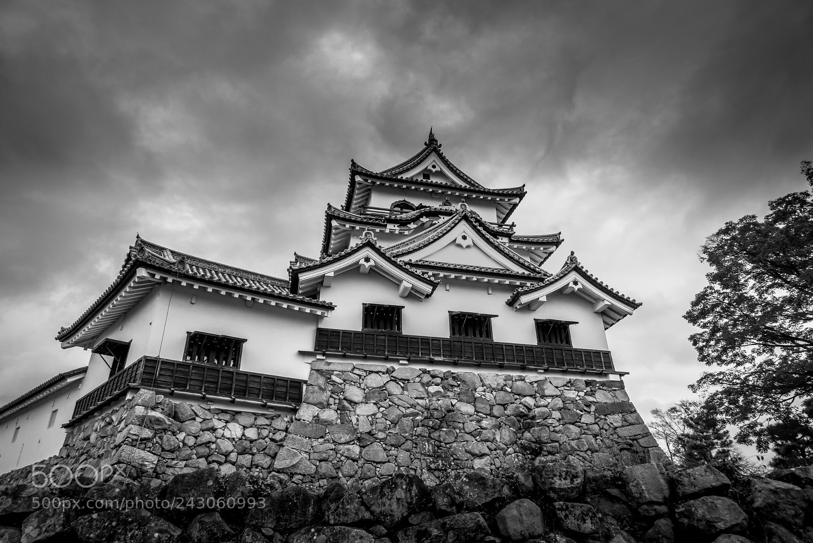 Sony a7R sample photo. Hikone castle photography