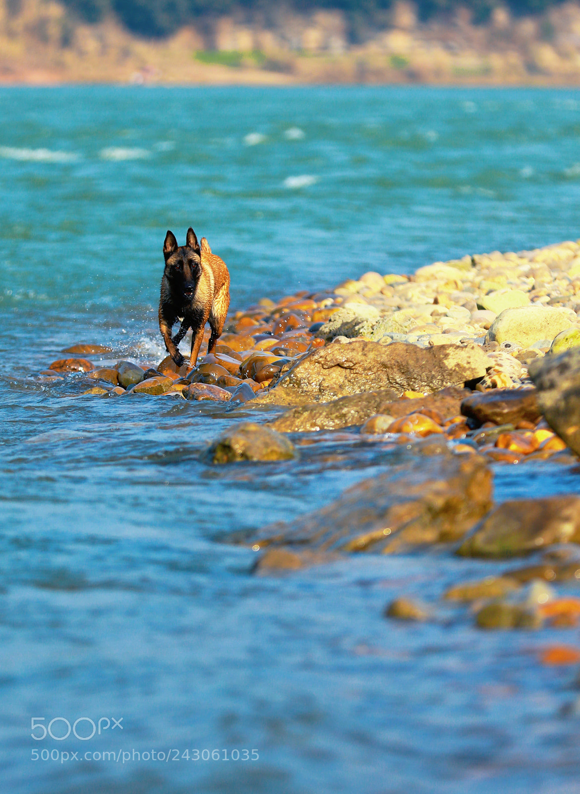 Canon EOS 7D Mark II sample photo. Untitled photography