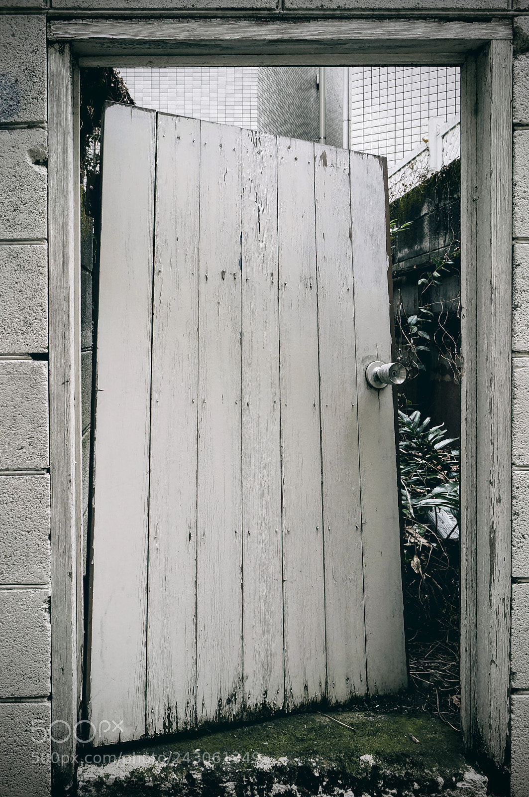 Sony Alpha NEX-5R sample photo. Wayout photography