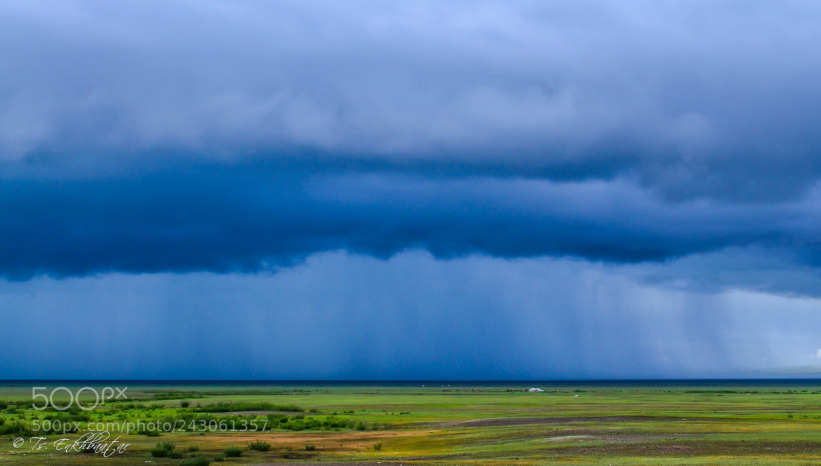 Nikon D5100 sample photo. Summer 2015 photography