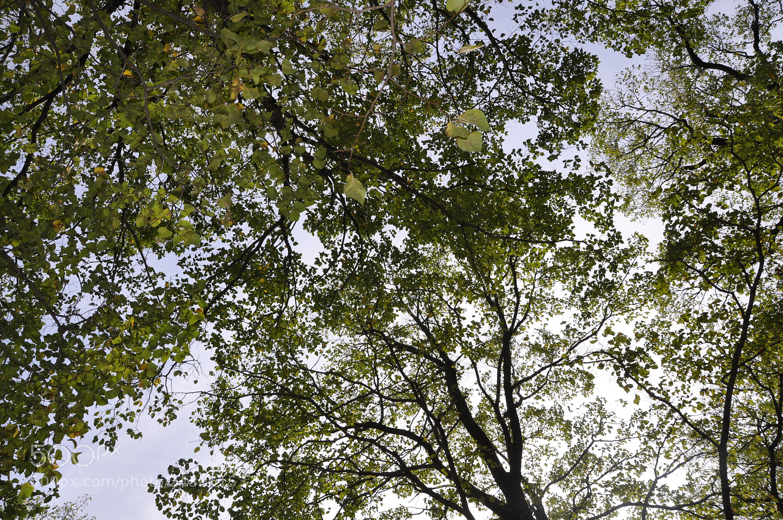 Nikon D90 sample photo. Nature shot photography
