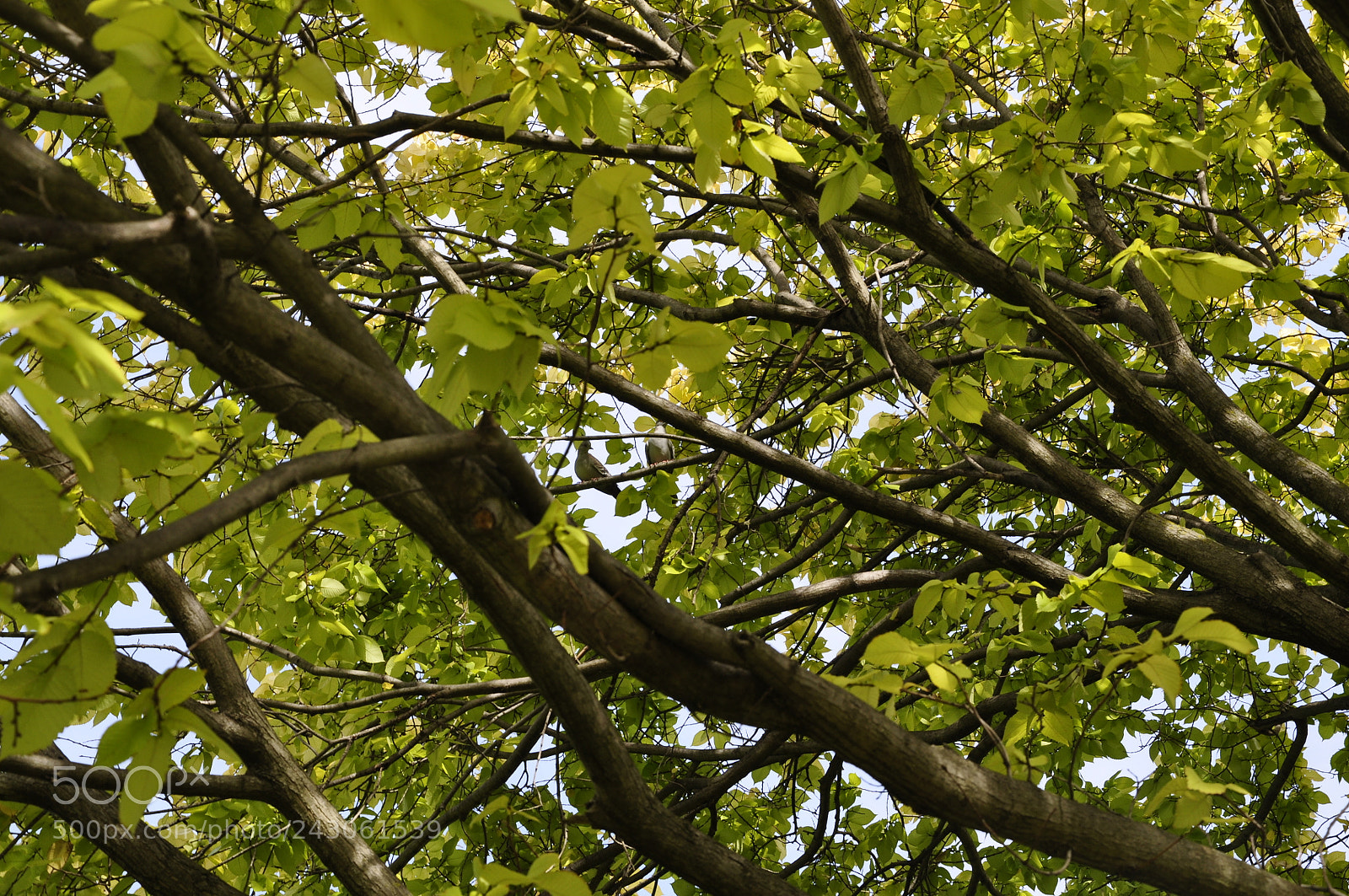Nikon D90 sample photo. Nature shot photography