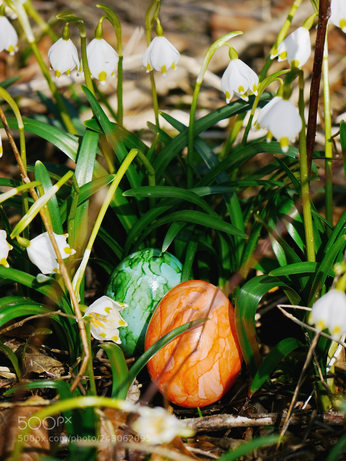 Panasonic Lumix DMC-GH2 sample photo. Easter eggs on meadow photography