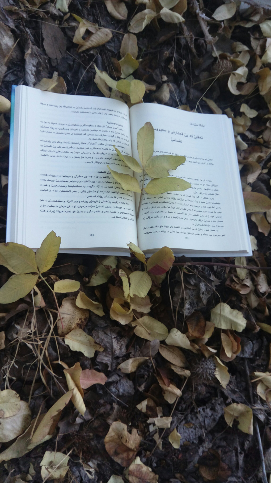 HTC ONE E9 DUAL SIM sample photo