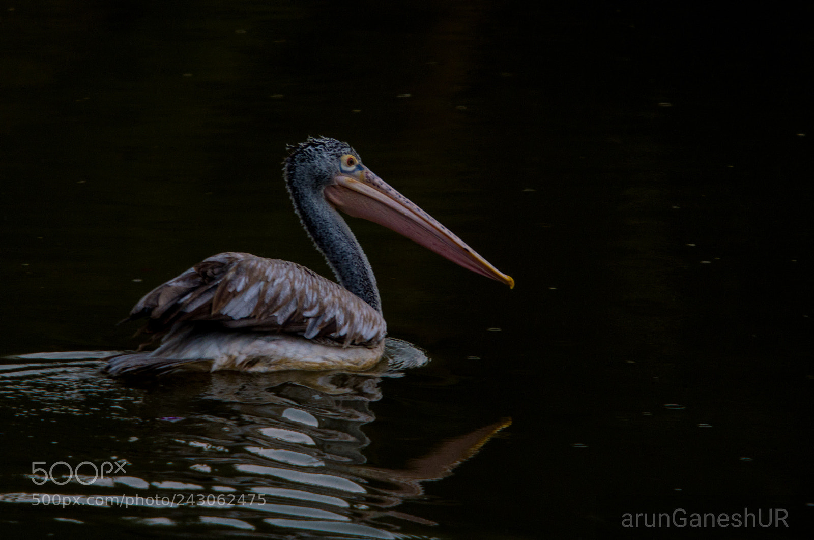 Nikon D500 sample photo. Alone into night ! photography