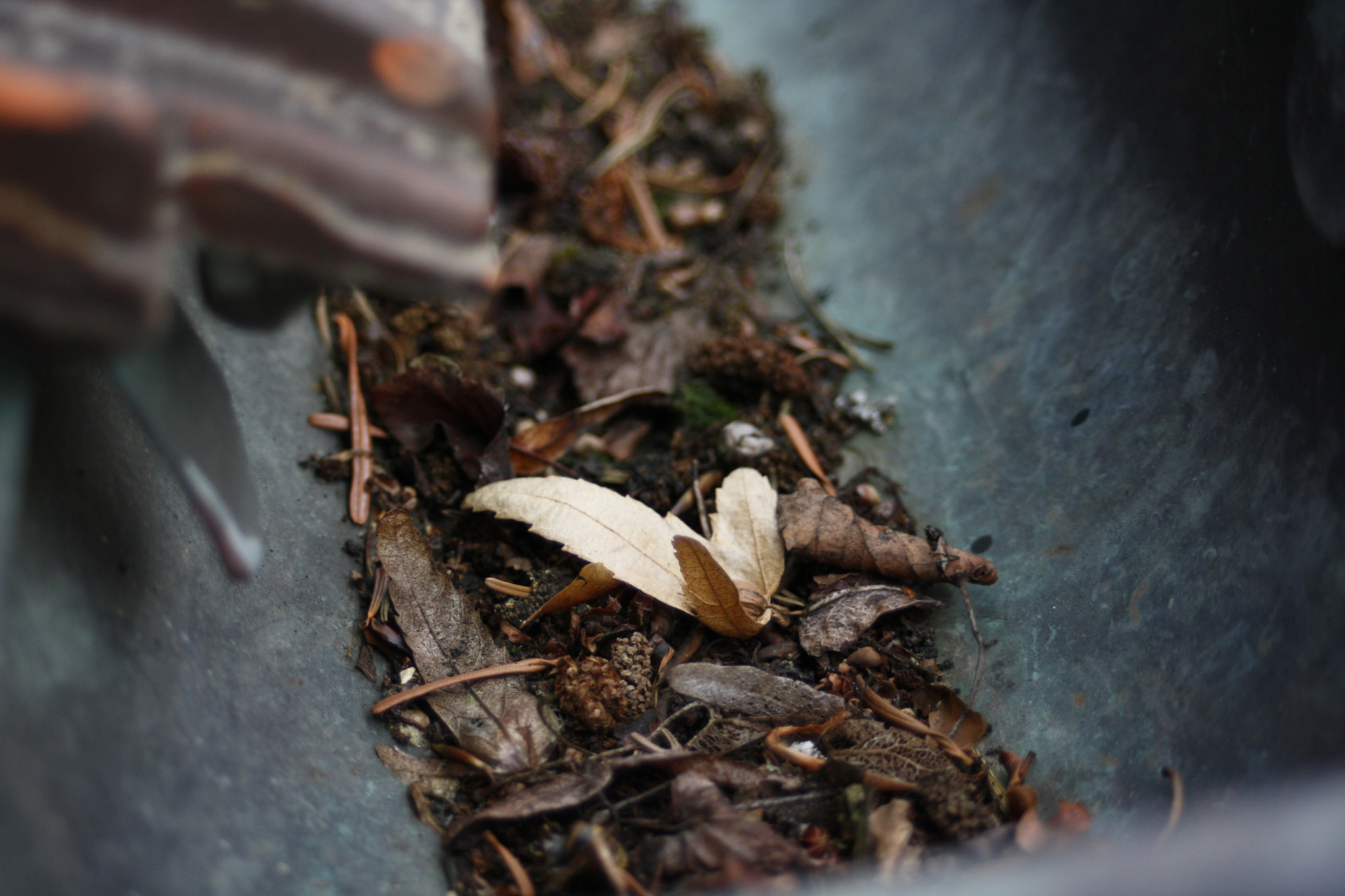 Canon EF 35-80mm f/4-5.6 sample photo. For rain photography