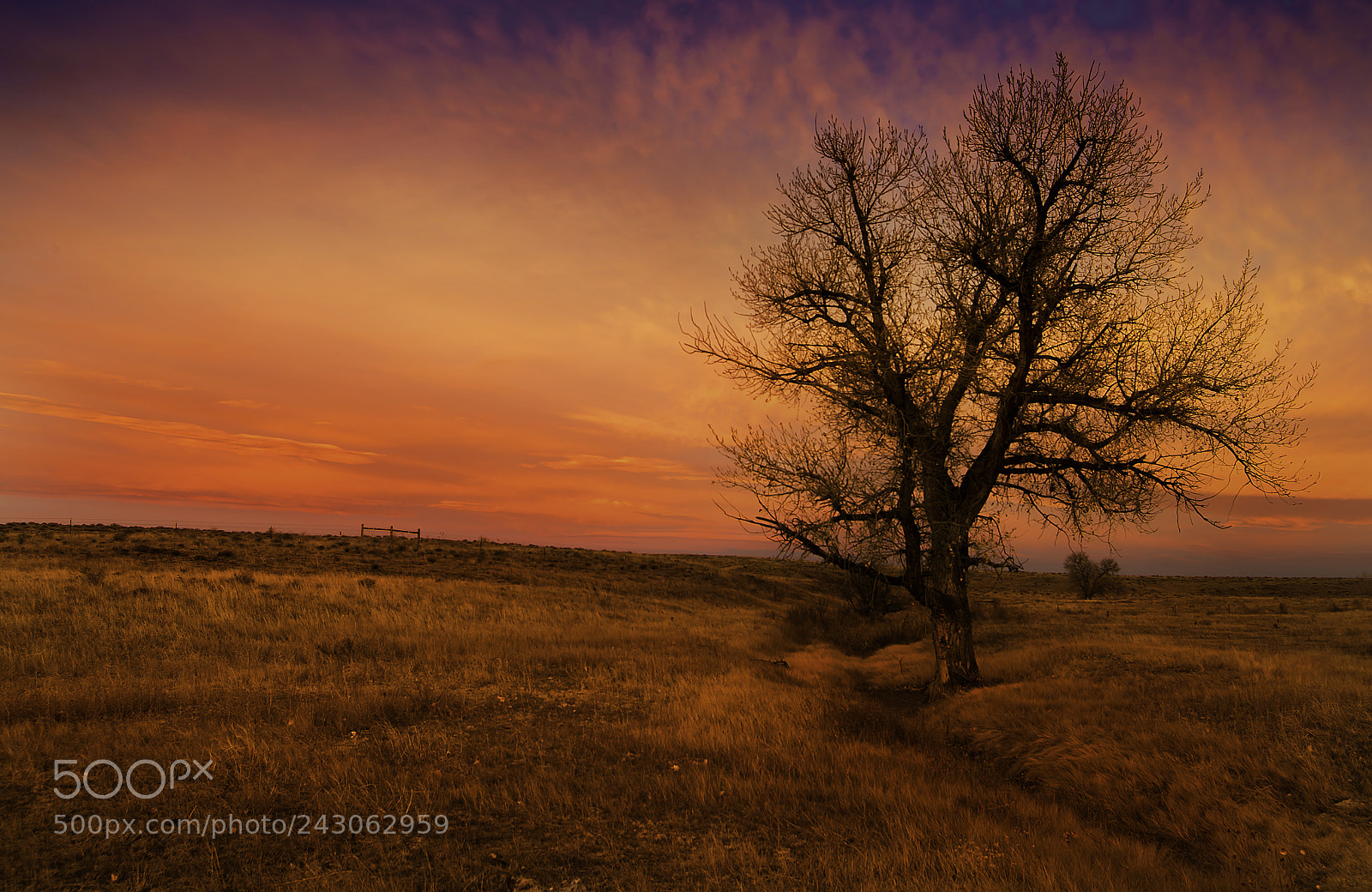 Nikon D810 sample photo. Prairie sunrise photography