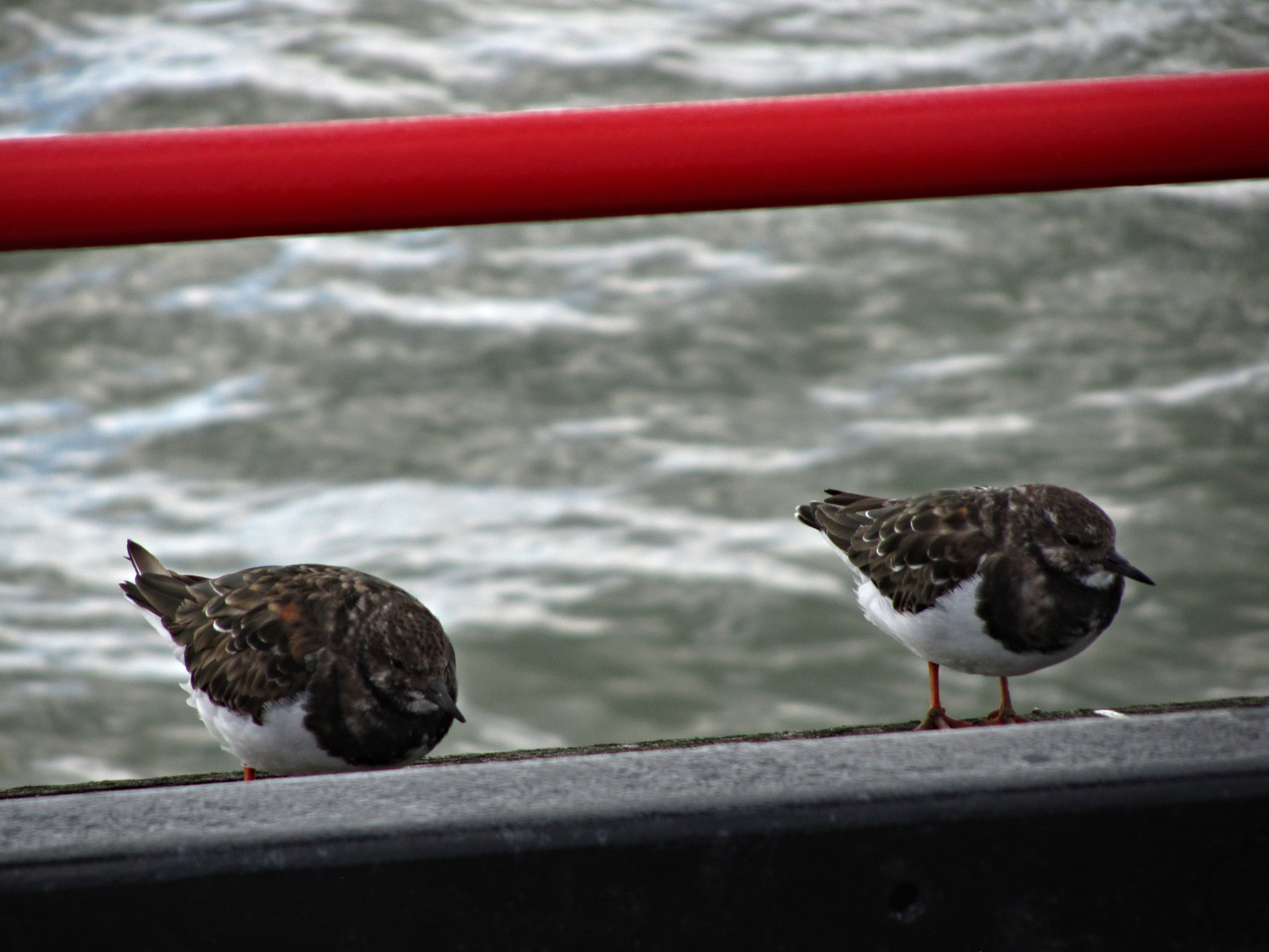 Canon PowerShot SX210 IS sample photo. Southend pier head, essex photography