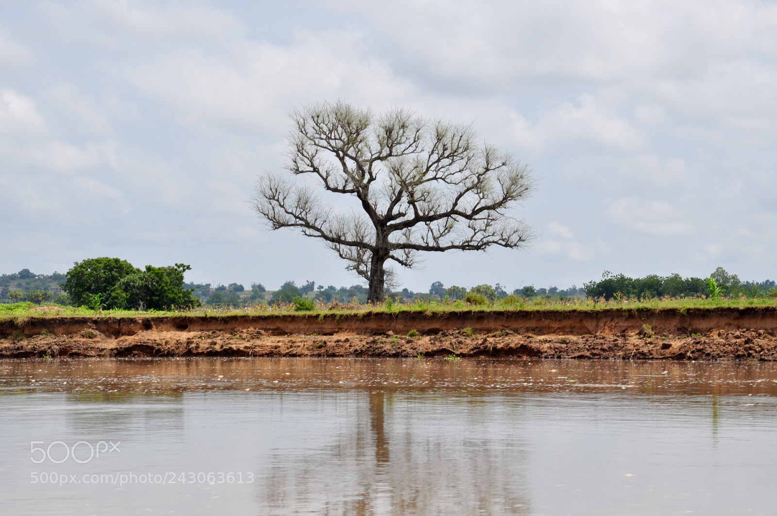 Nikon D5000 sample photo. Benue river photography