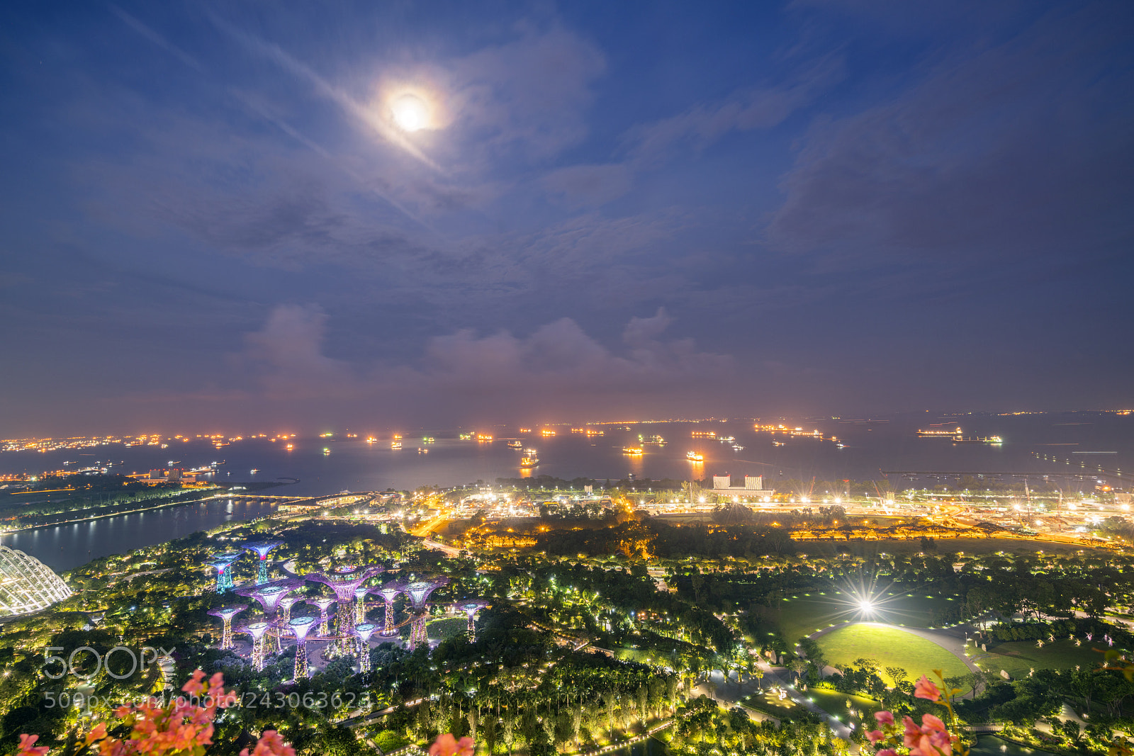 Sony a7R II sample photo. Singapore's moonlit night photography