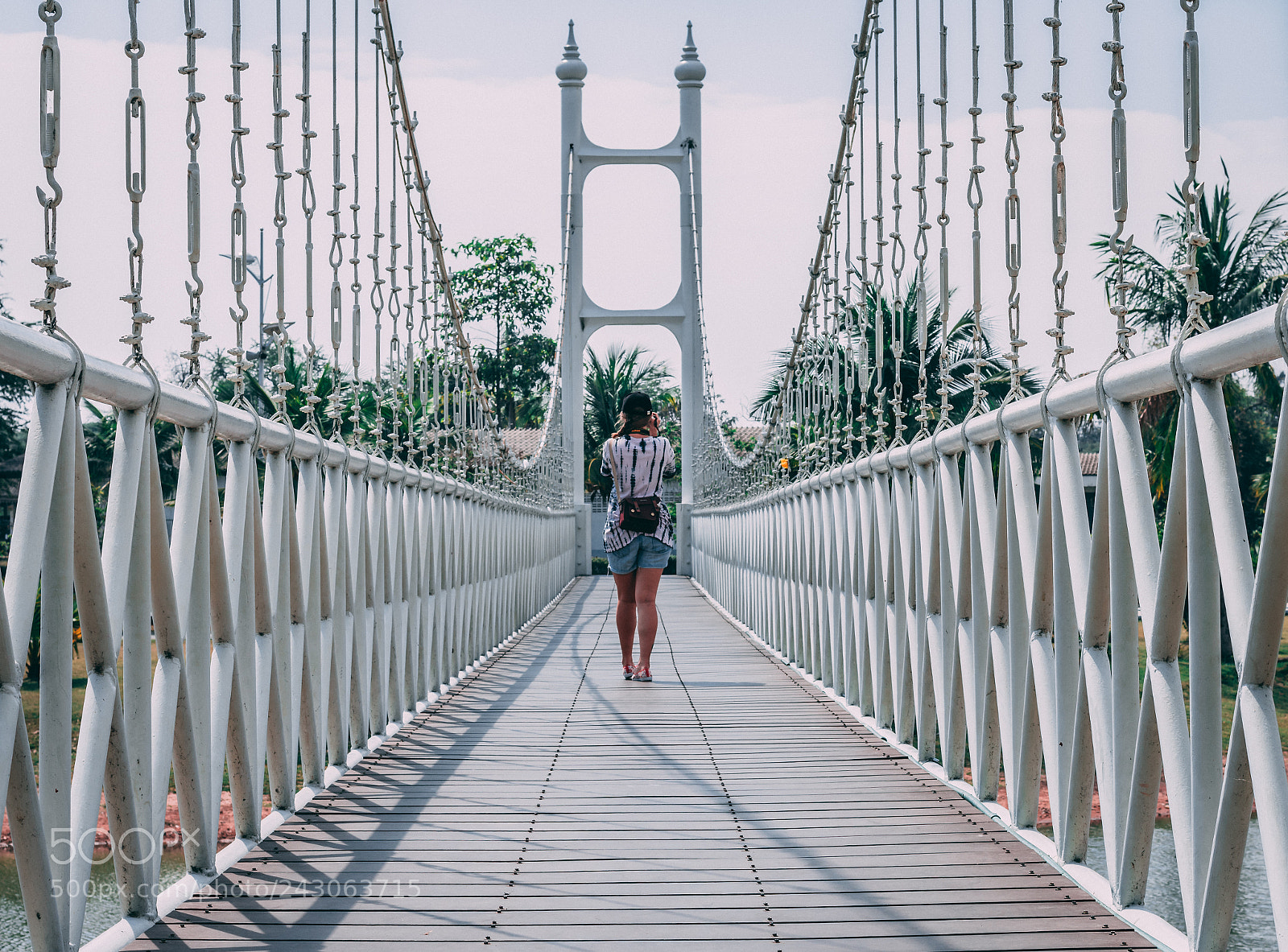 Nikon D3400 sample photo. Bridge to my beloved photography
