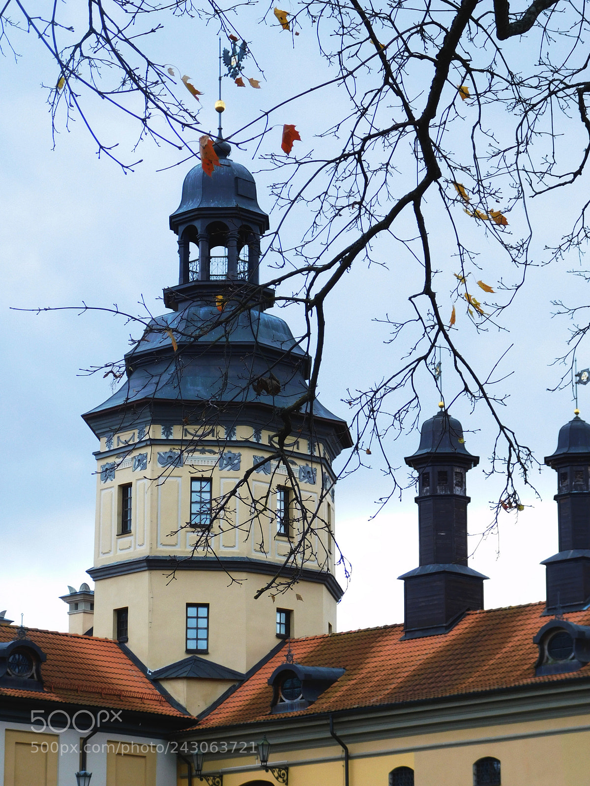 Nikon Coolpix L840 sample photo. Autumn castle photography
