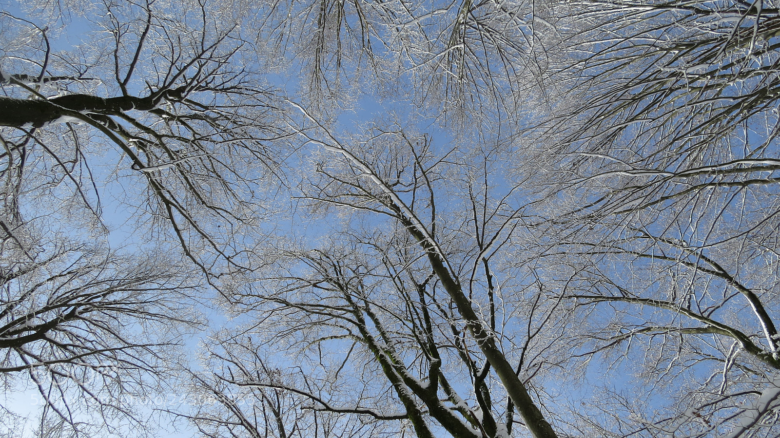 Canon PowerShot SX50 HS sample photo. Img photography