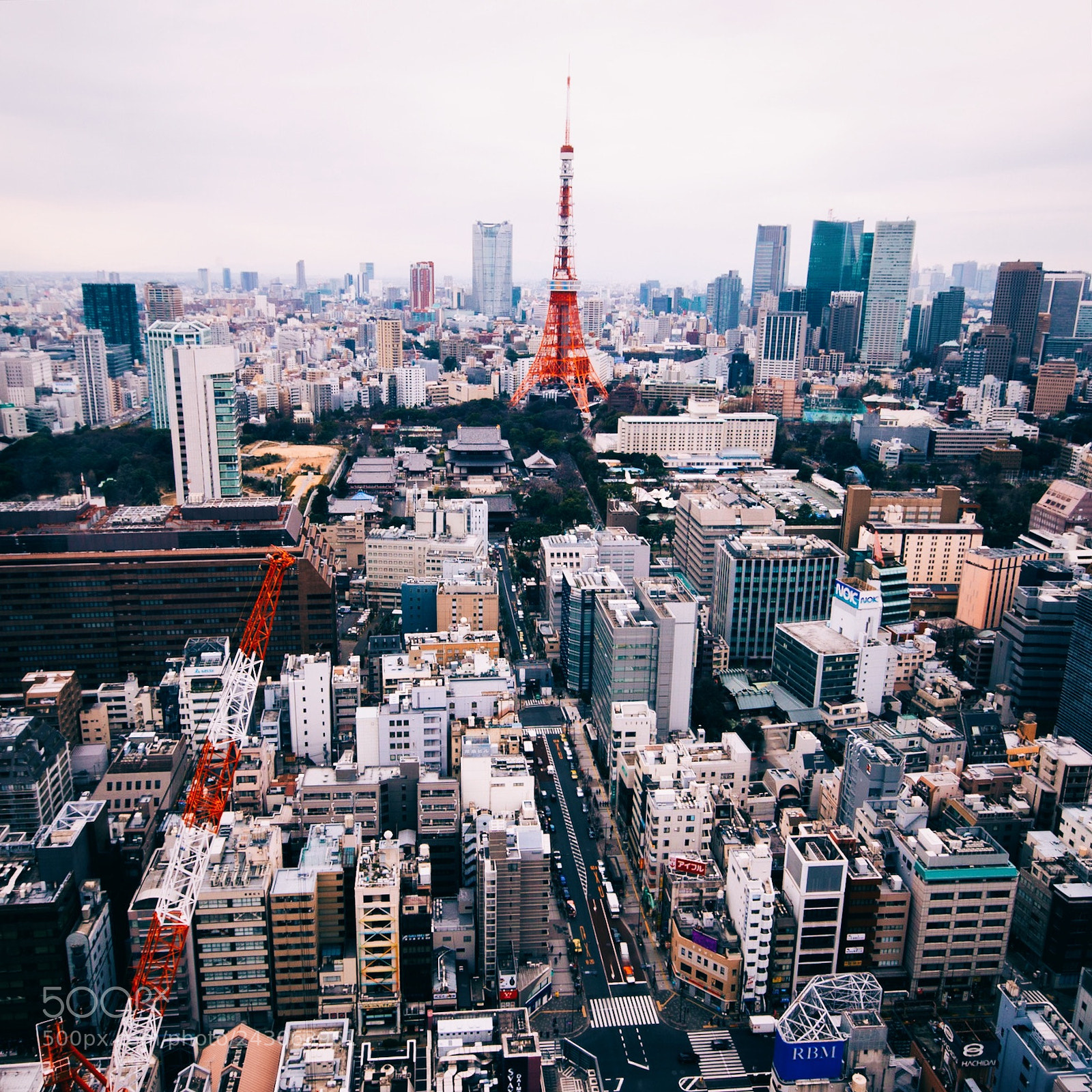 Nikon D610 sample photo. Tokyo photography