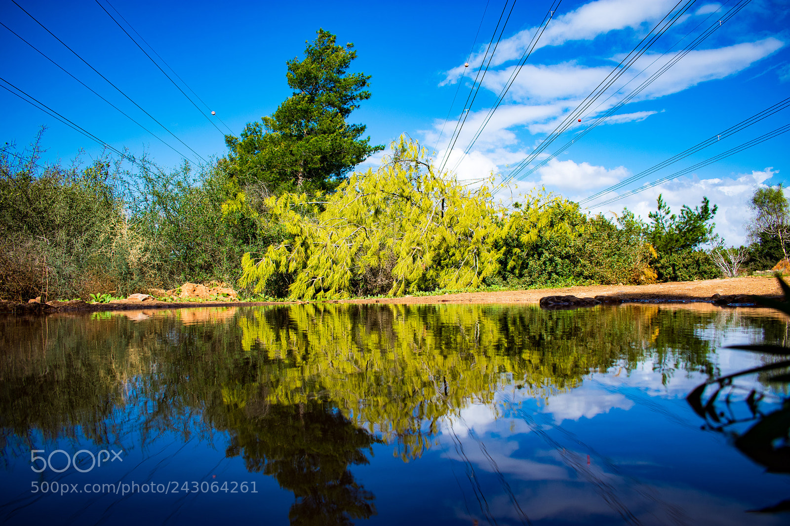 Nikon D3400 sample photo. After rain reflection photography