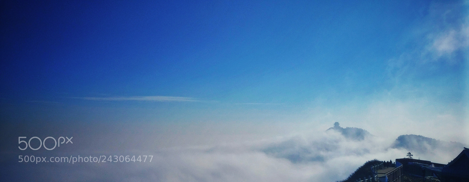 OnePlus A3010 sample photo. Untitled photography