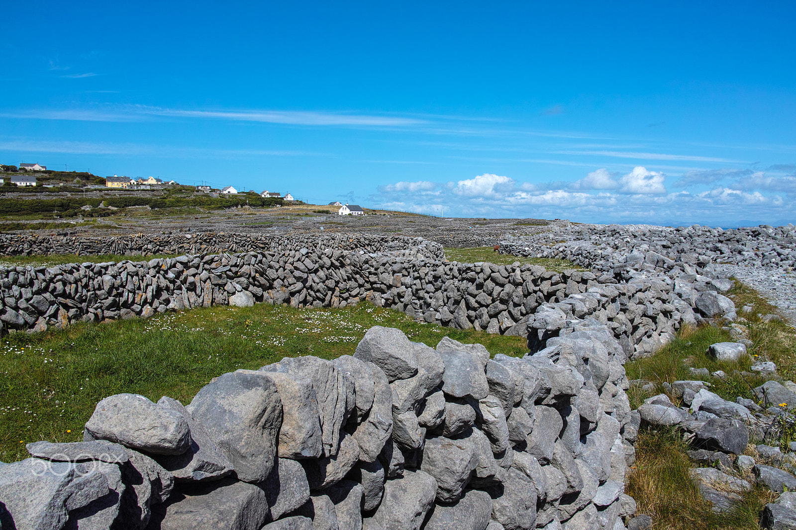 Sigma DP1 Merrill sample photo. Inisheer photography
