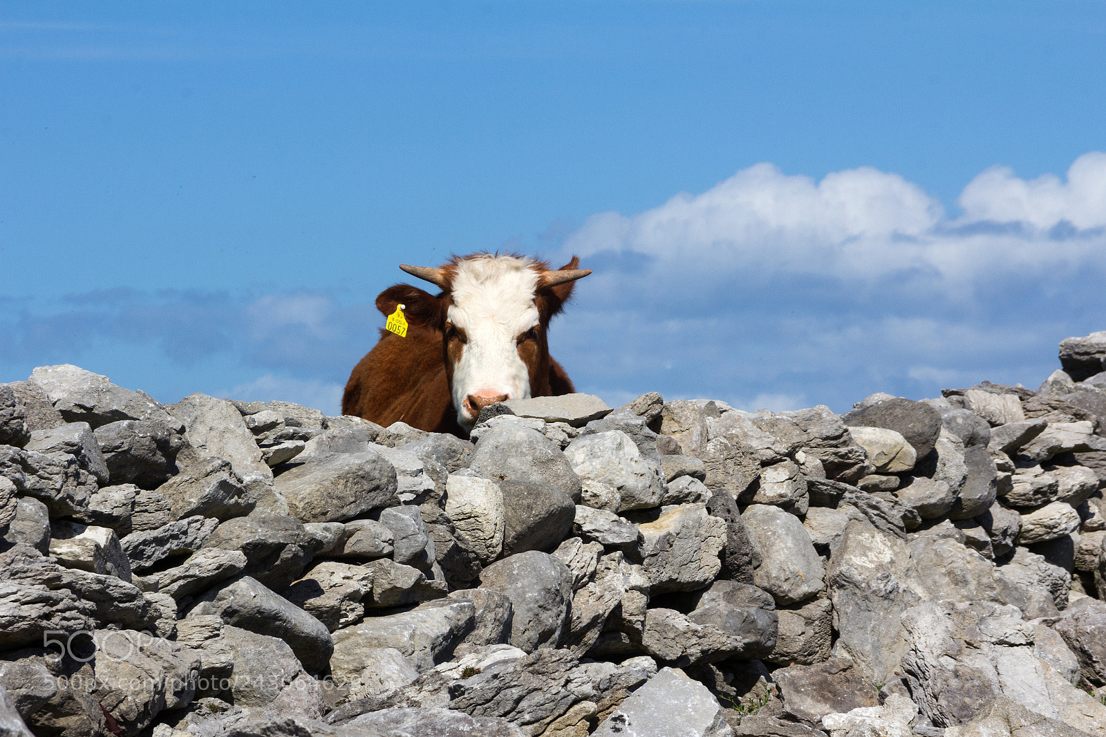 Canon EOS 60D sample photo. Inisheer photography