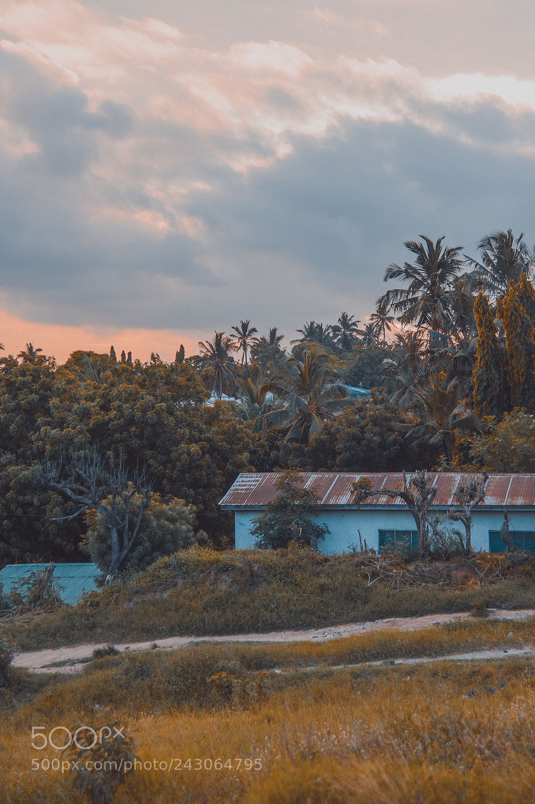 Nikon D810 sample photo. Dar es salaam by photography