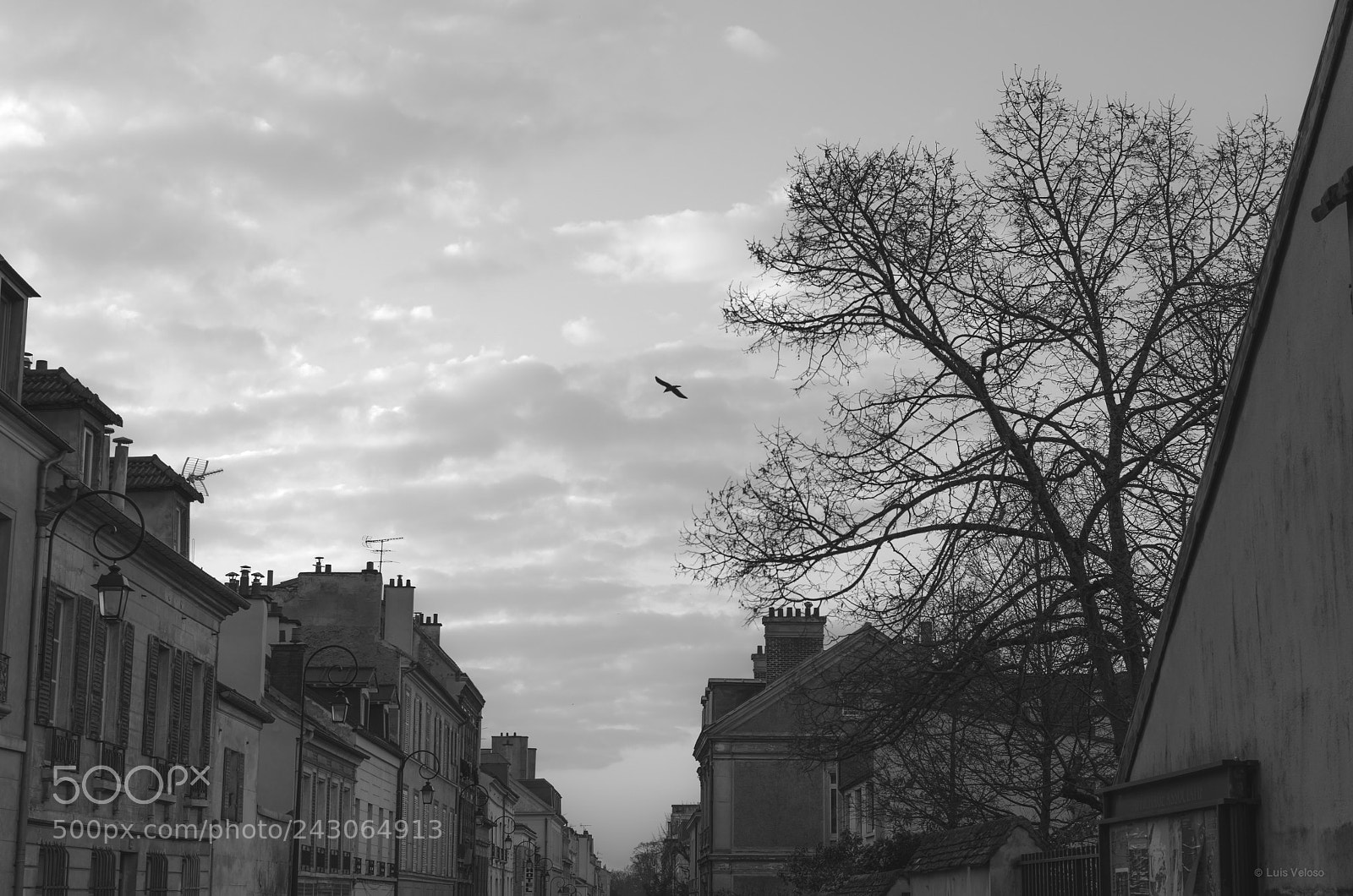 Pentax K-30 sample photo. Flying over... photography