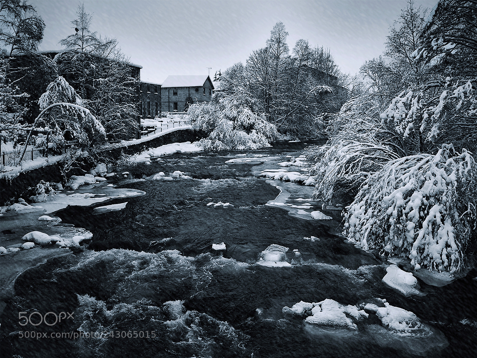 Olympus PEN E-P1 sample photo. River wild photography