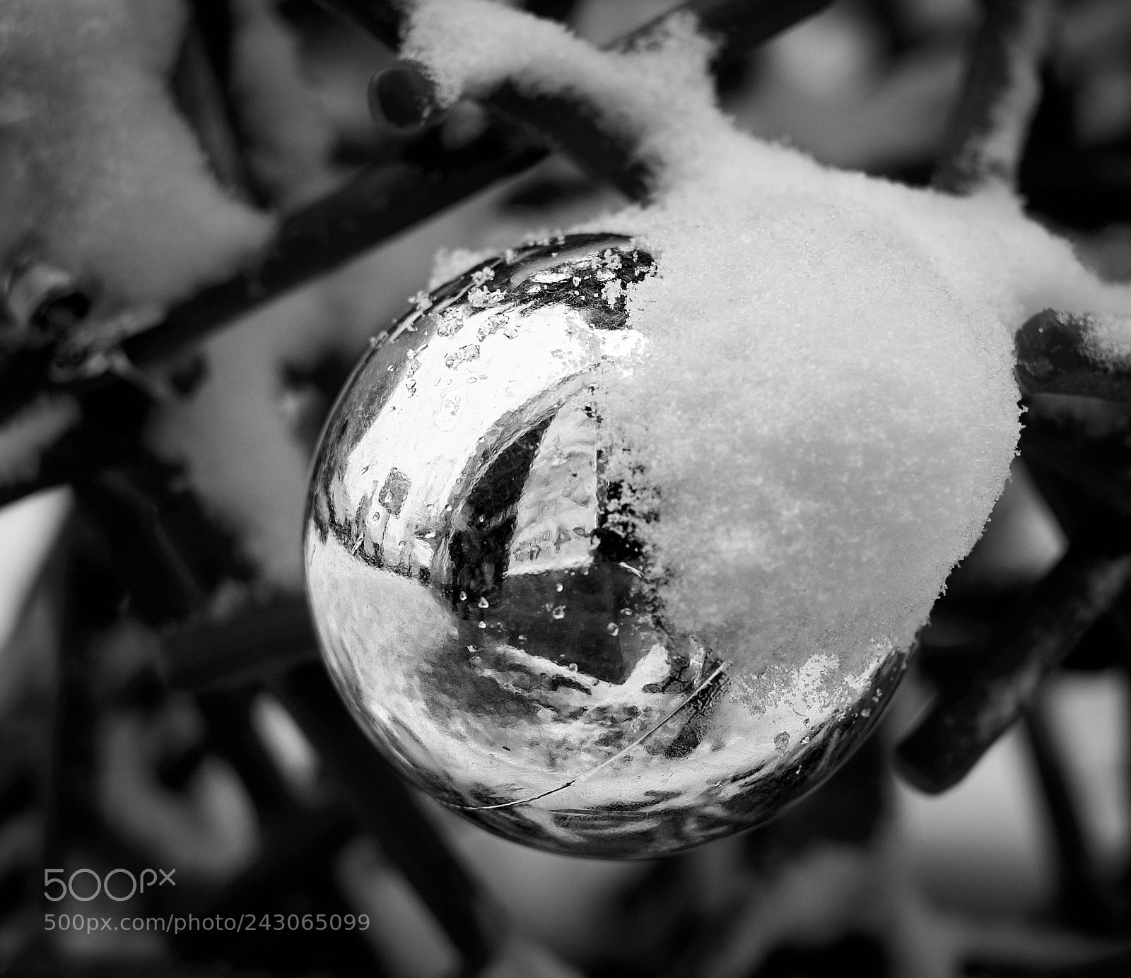 Fujifilm X-M1 sample photo. Snow on reflective ball photography