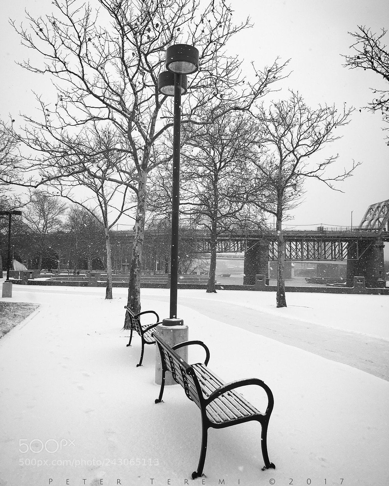 Apple iPhone 6s sample photo. Winter in the park photography