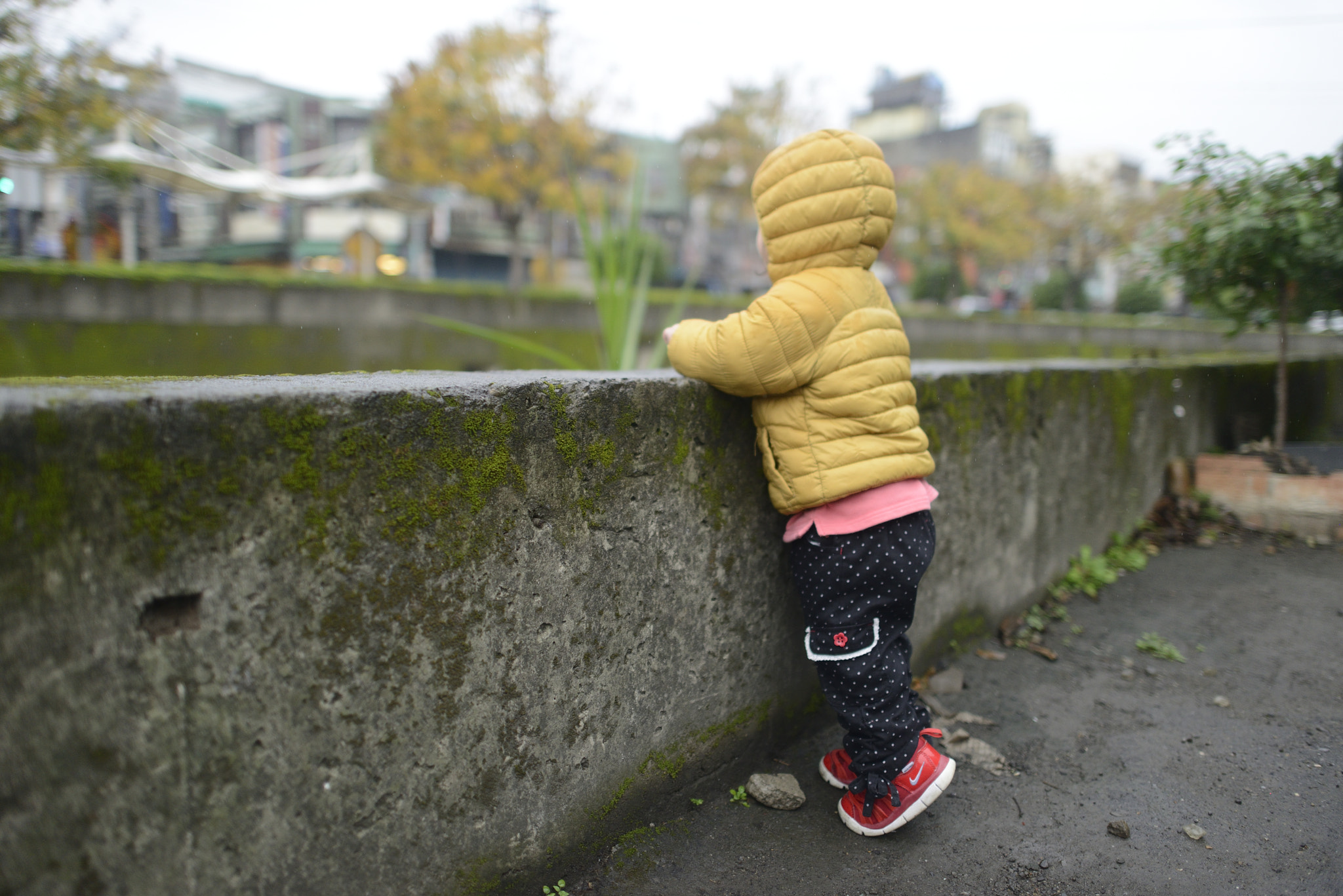 Nikon AF-S Nikkor 24mm F1.4G ED sample photo