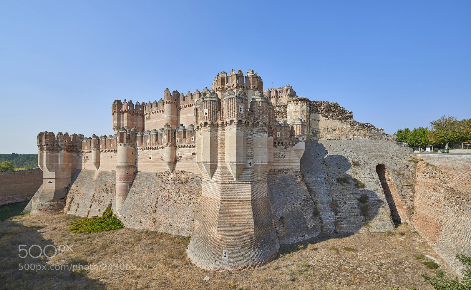 Nikon D800 sample photo. Castillo de coca photography