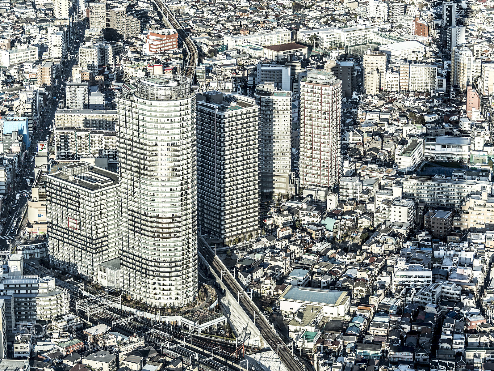 Nikon D5 sample photo. From the skytree in photography