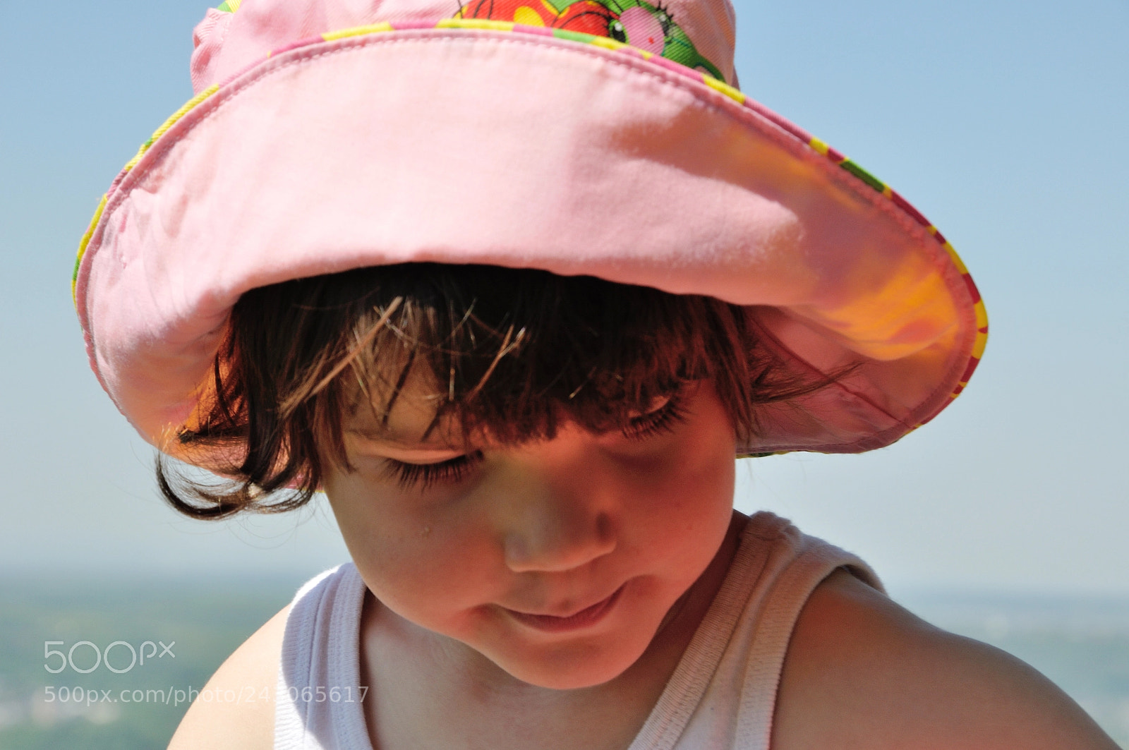 Nikon D300S sample photo. Reflected light dsc photography