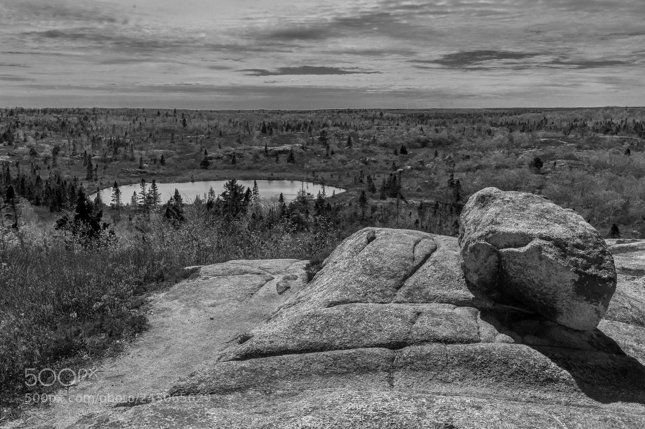 Nikon D7100 sample photo. The peggy s cove photography
