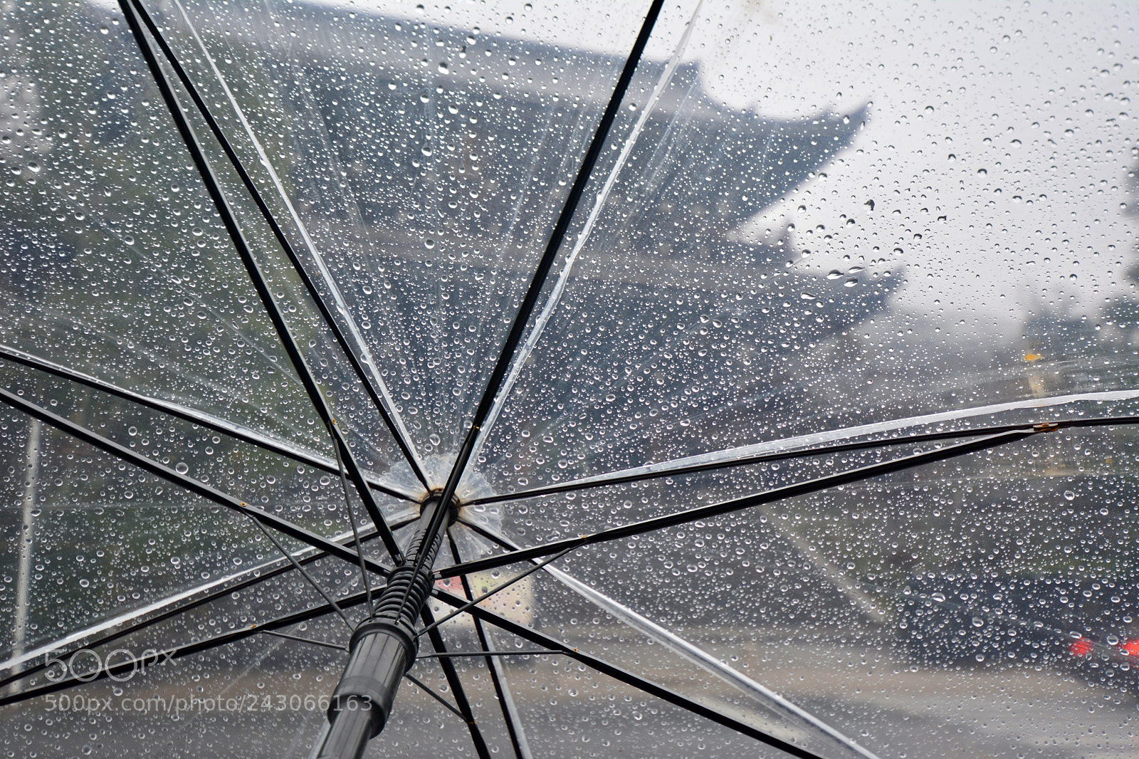Nikon D7100 sample photo. Japan rain photography