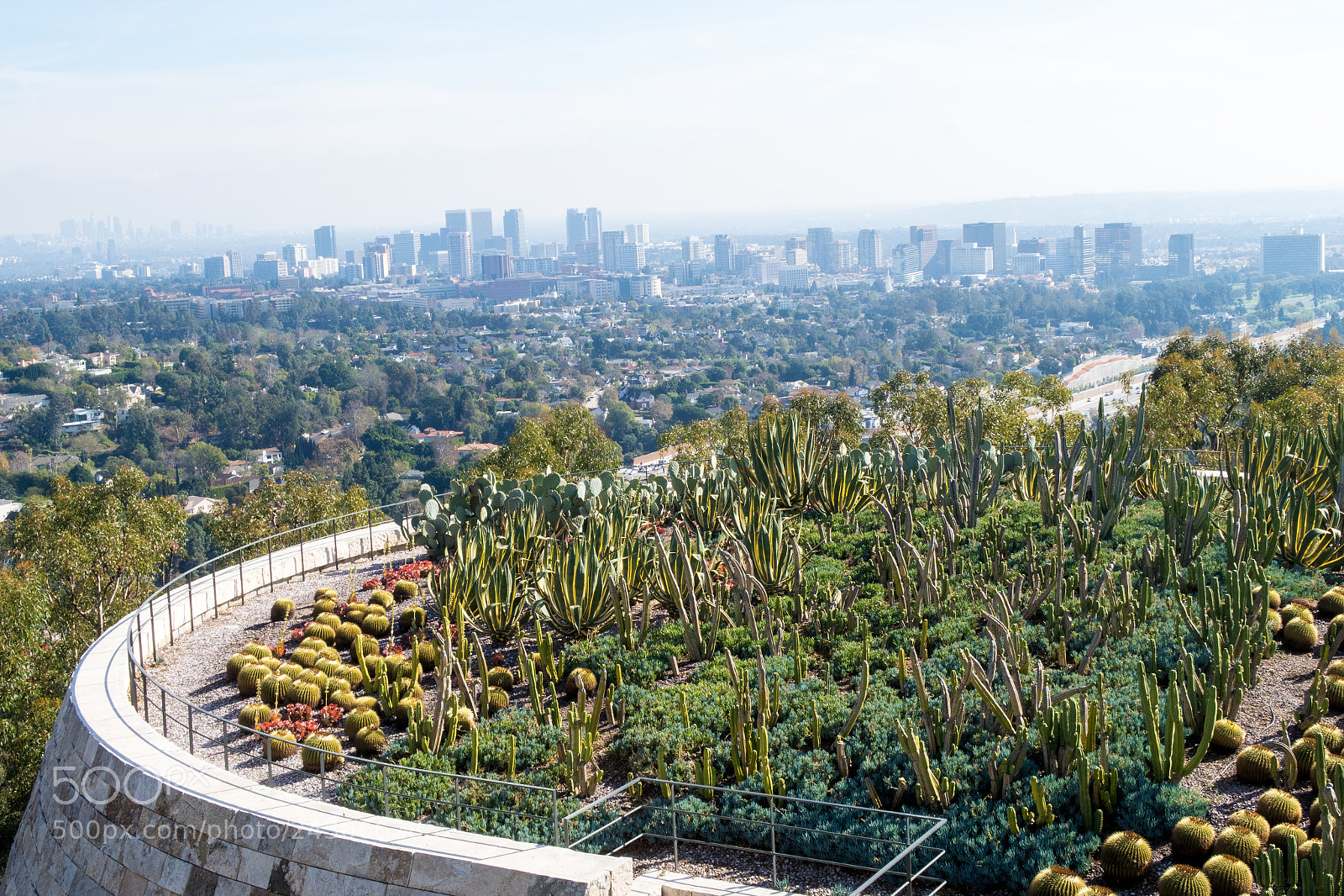 Canon PowerShot G7 X Mark II sample photo. Cacti skyline 2 photography
