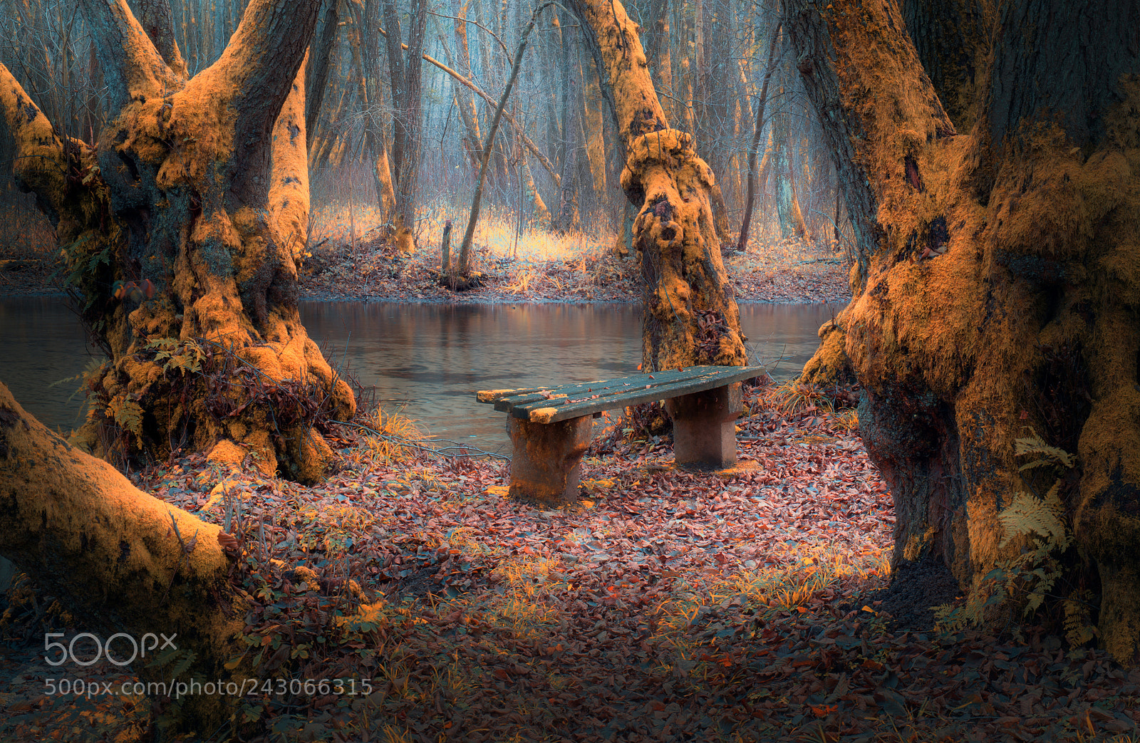 Nikon D610 sample photo. Bench photography