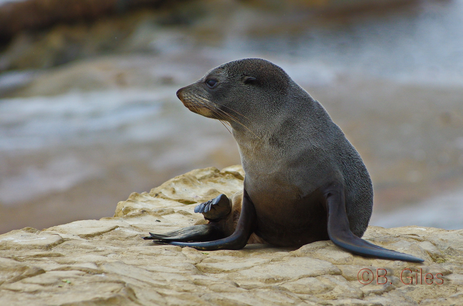 Pentax smc DA* 60-250mm F4.0 ED (IF) SDM sample photo. Rest and relaxation photography