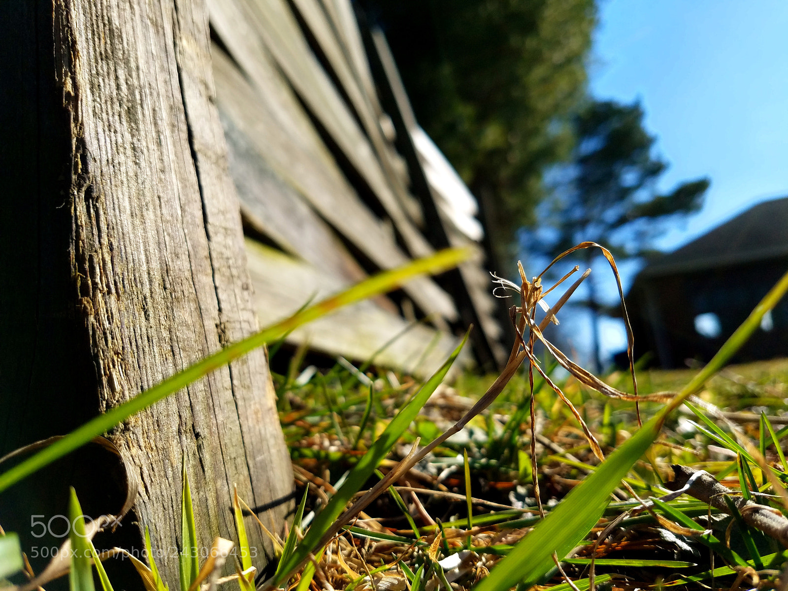 Samsung Galaxy S7 sample photo. Rustic fence with unique photography
