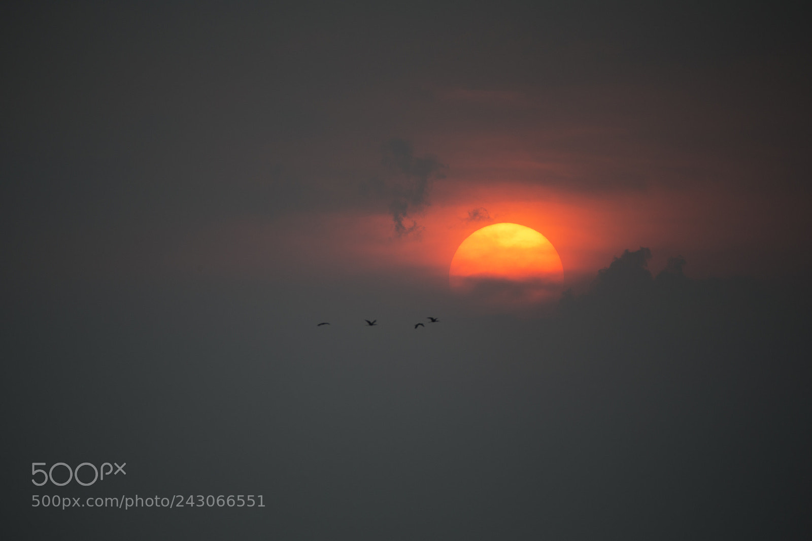 Canon EOS-1D X sample photo. Sunset photography