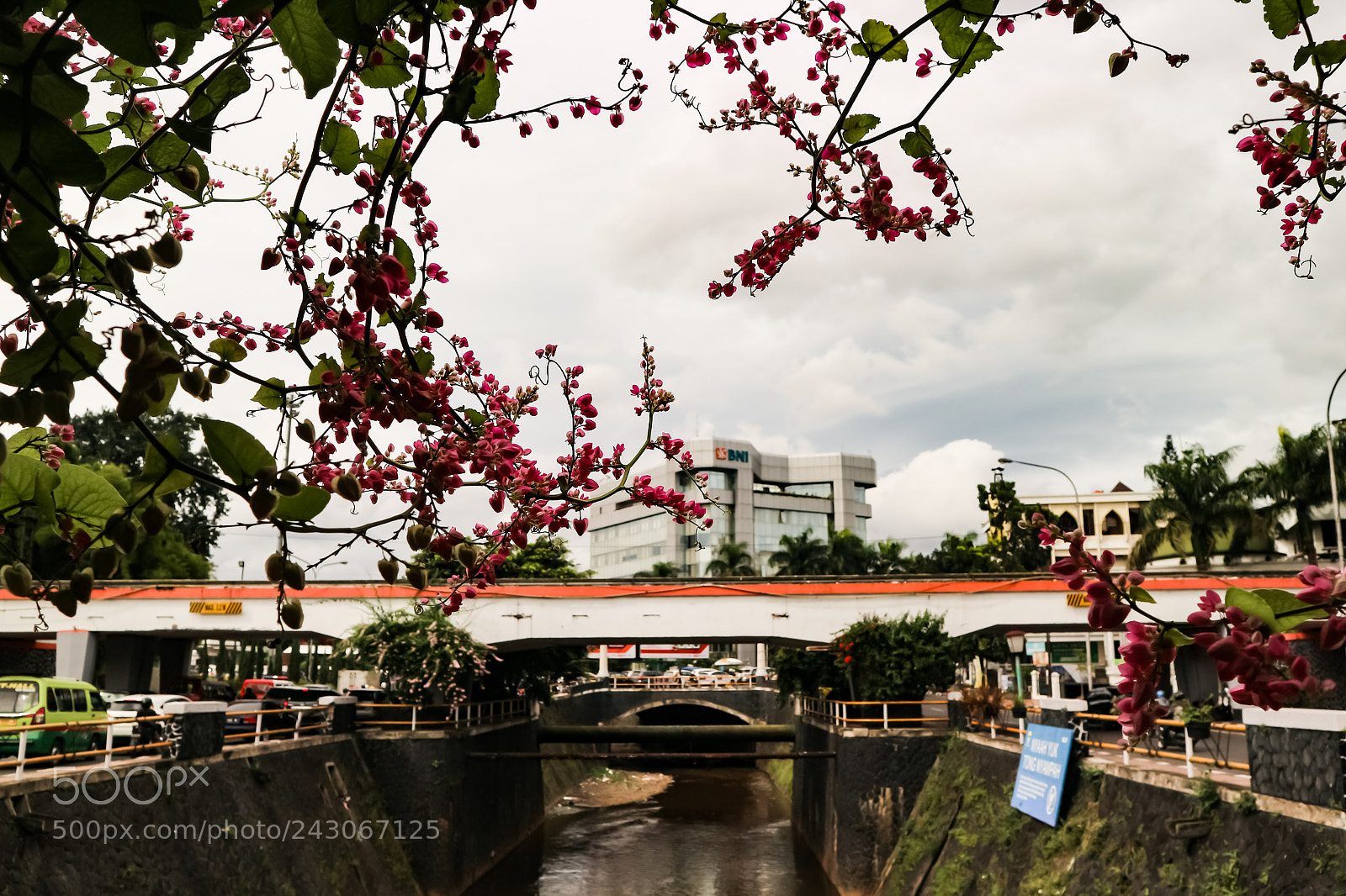 Canon EOS M10 sample photo. Untitled photography