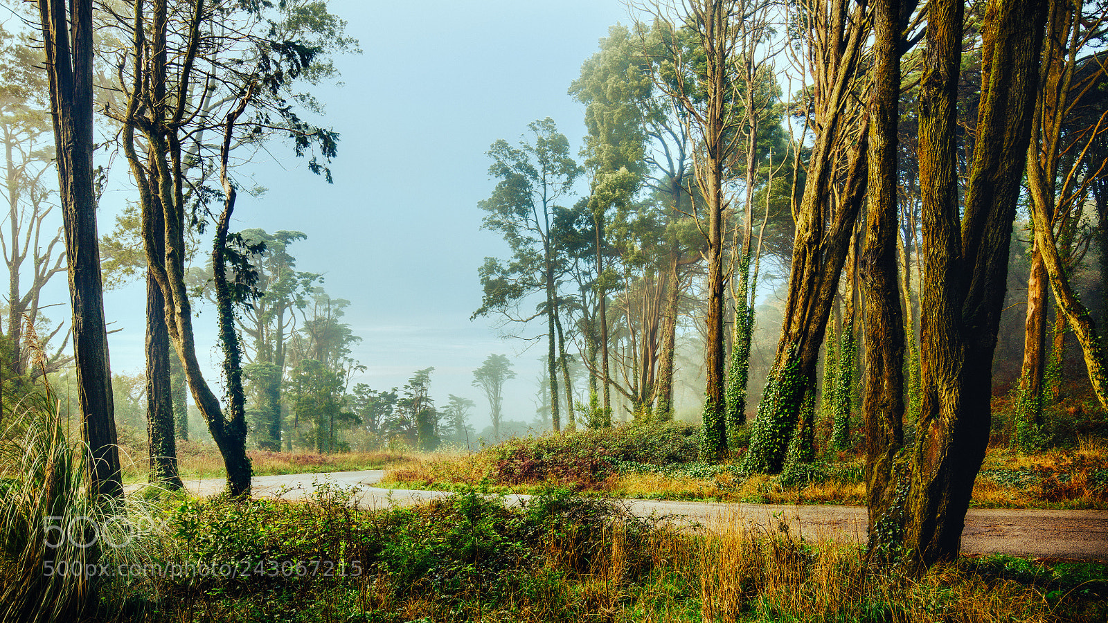Canon EOS 5DS R sample photo. Green hills of sintra photography
