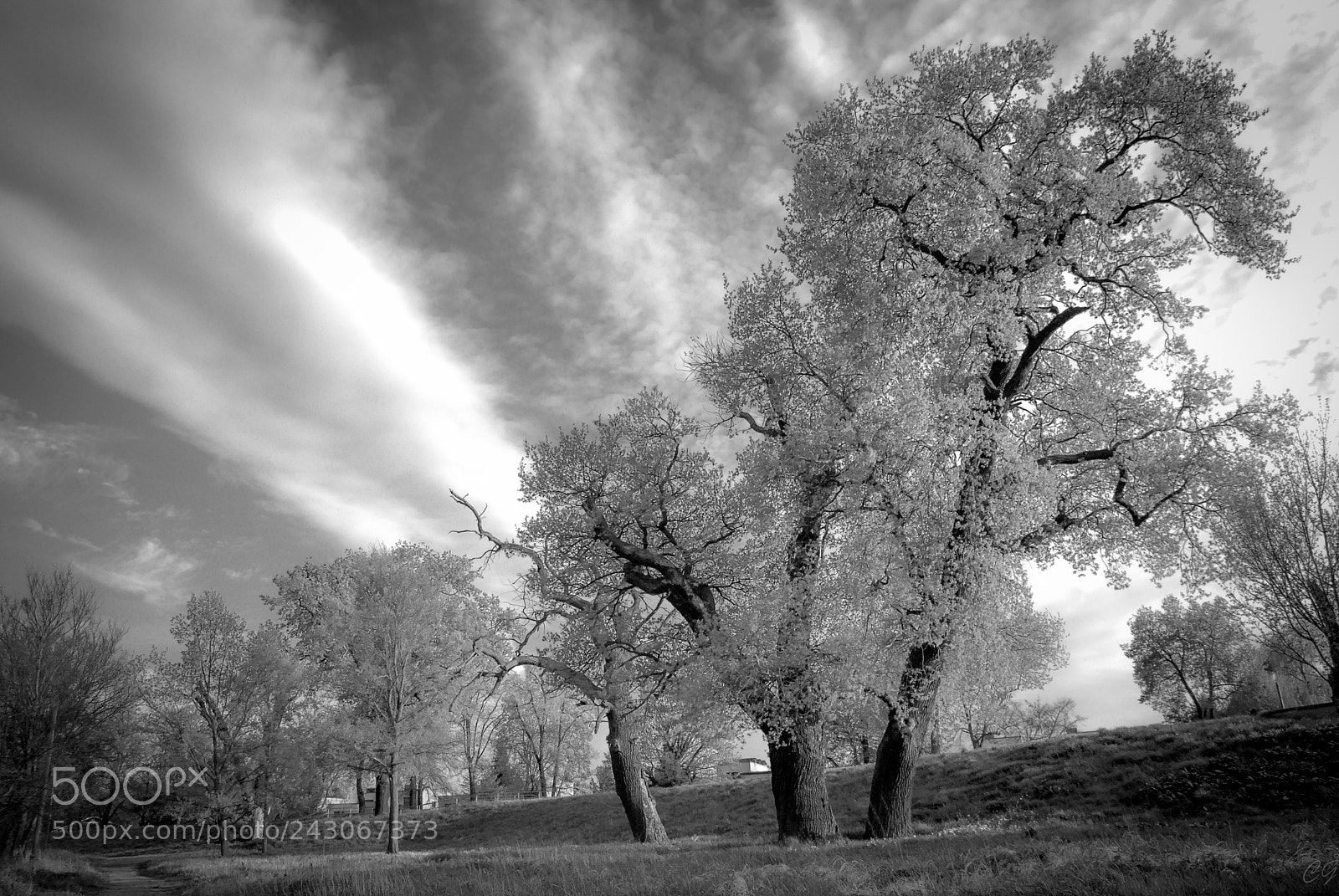 Nikon D80 sample photo. L photography