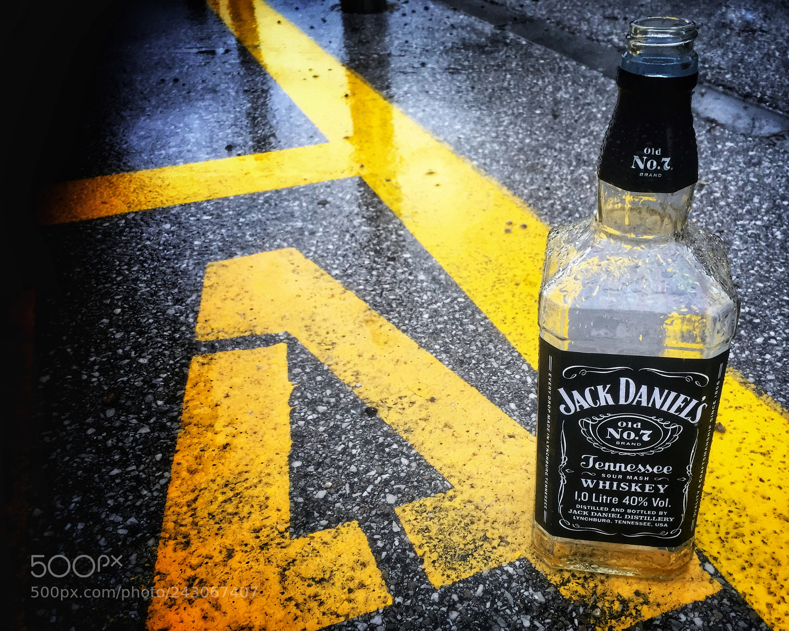 Apple iPhone 6 sample photo. Jd photography
