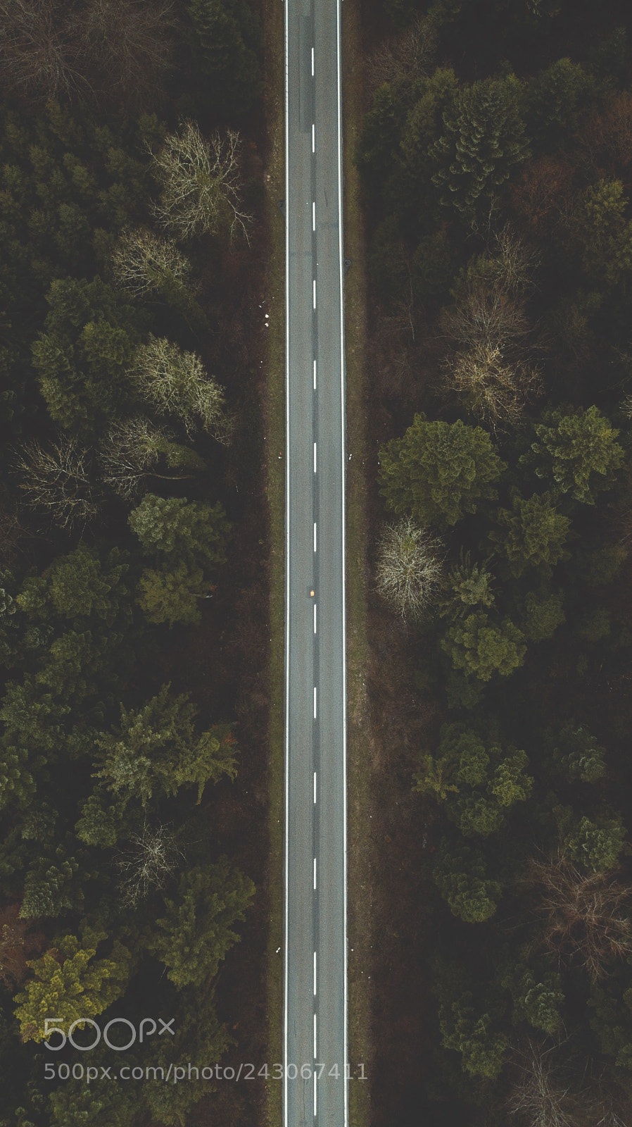 DJI FC220 sample photo. Up photography