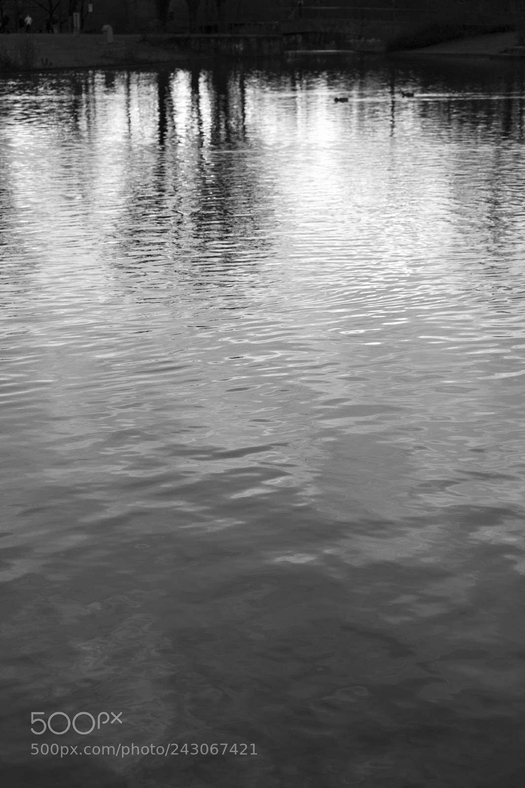 Sony a7 sample photo. Water photography