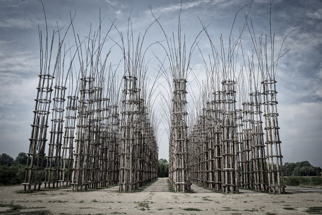 Lodi (Lombardy, Italy): the vegetal cathedral by Claudio G. Colombo on 500px.com